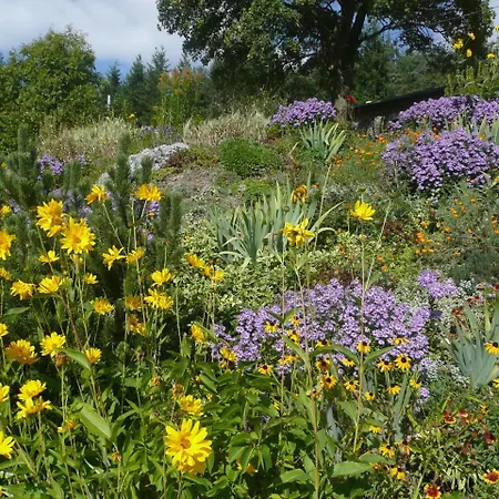 La Croisee Des Fleurs Bed & Breakfast Lapte