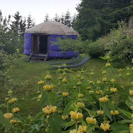 La Croisee Des Fleurs * Lapte