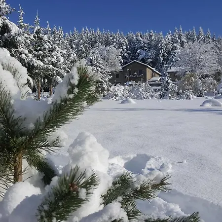 Bed & Breakfast La Croisee Des Fleurs *